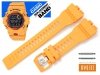 CASIO GBD-800-4 oryginalny pasek 16 mm 10573714